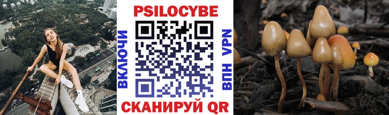 Псилоцибиновые грибы GOLDEN TEACHER  Короча 